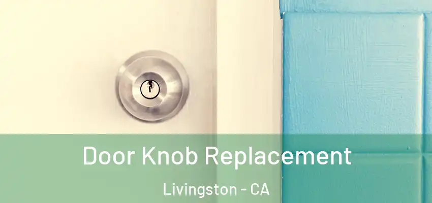  Door Knob Replacement Livingston - CA