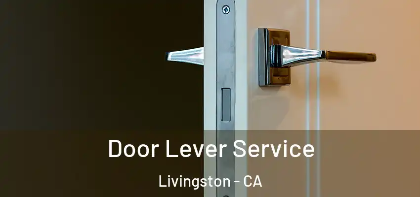  Door Lever Service Livingston - CA