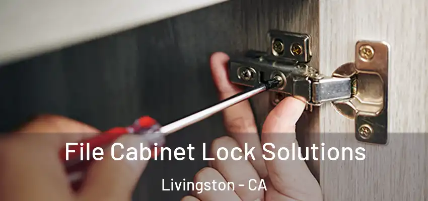  File Cabinet Lock Solutions Livingston - CA