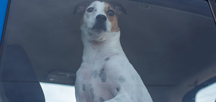 Car Lockout Solutions in Livingston, California