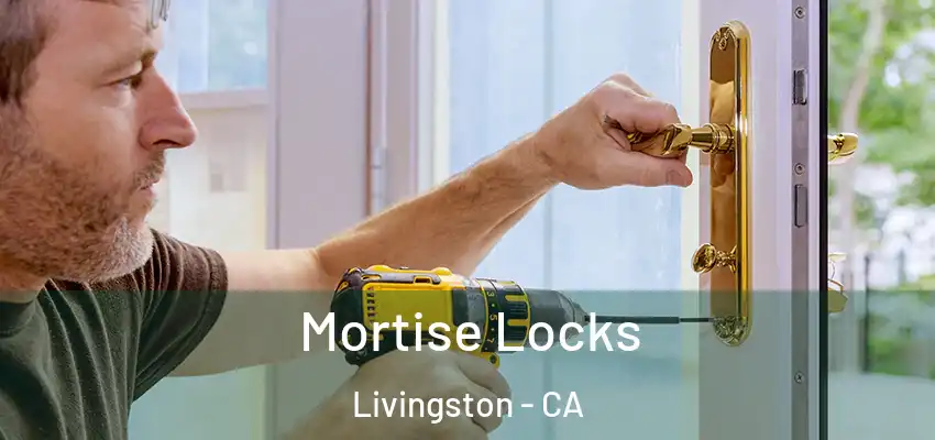  Mortise Locks Livingston - CA