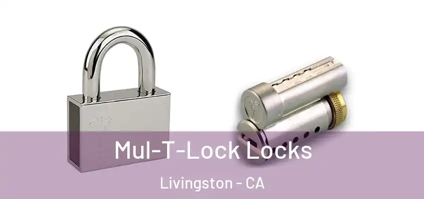  Mul-T-Lock Locks Livingston - CA